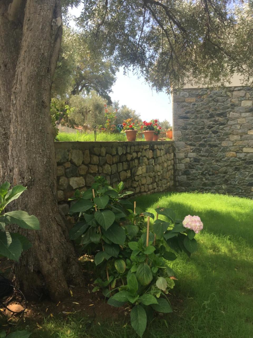 Samothraki Suites Kalisti Xiropotamos Екстериор снимка