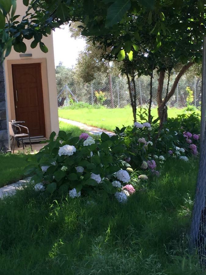 Samothraki Suites Kalisti Xiropotamos Екстериор снимка